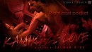 Elle Alexandra & Hayden Hawkens & Kayla Jane & Malena Morgan - Right Coat Pocket